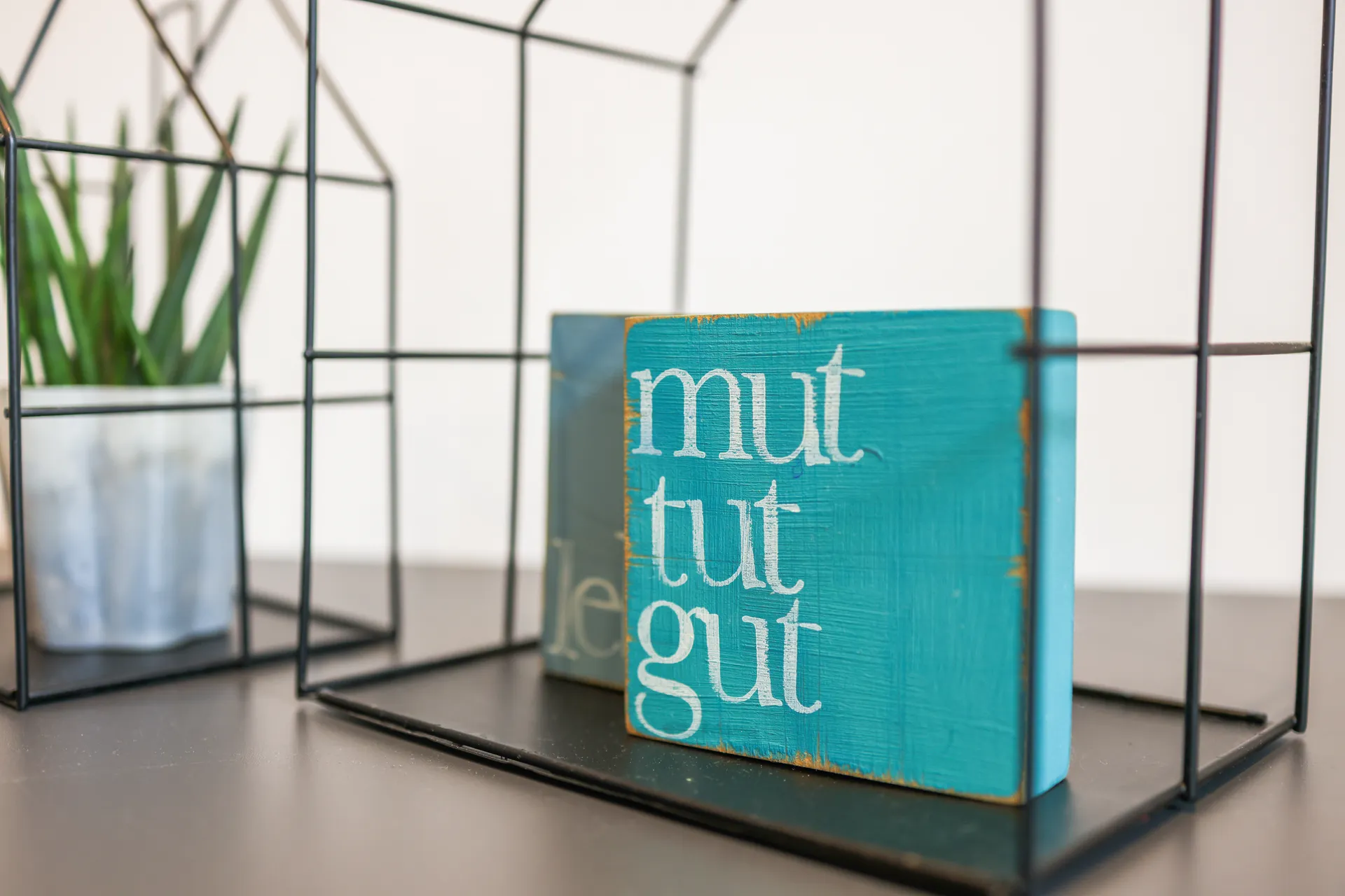 Ein Schild mit der Aufschrift „mut tut gut“ zwischen Pflanzen in einem Drahtregal