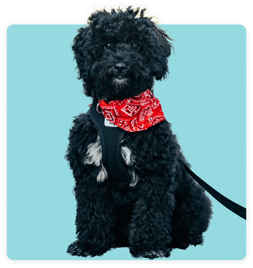 Mila – Logopädie-Team Gummersbach